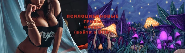 apvp Бугульма