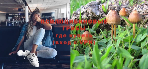apvp Бугульма