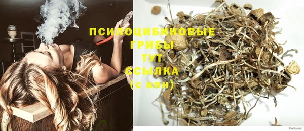 apvp Бугульма