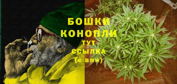 шишки Белоозёрский