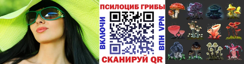 Галлюциногенные грибы мицелий  купить наркотик  Кстово 
